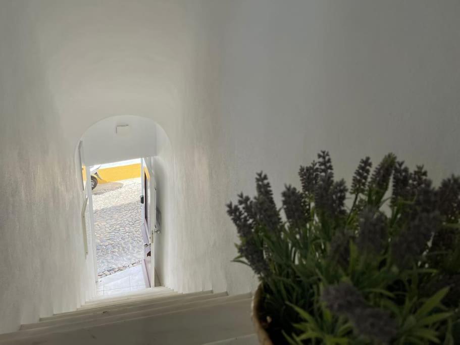 Casa Da Oliveira Apartment Evora Exterior photo